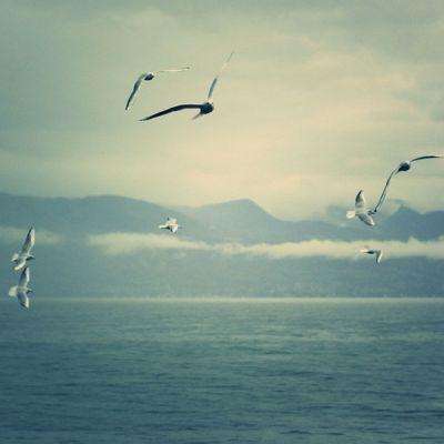 绿巨人山路赛车