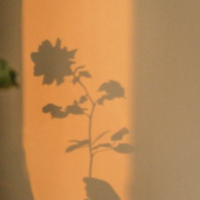 海绵宝宝滑雪之旅